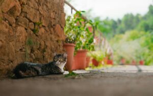 La importancia de la hidratación en la salud natural